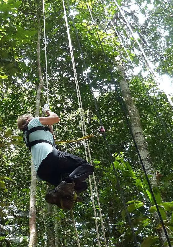 Visitante en un canopy entre los árboles de la selva cerca de Leticia