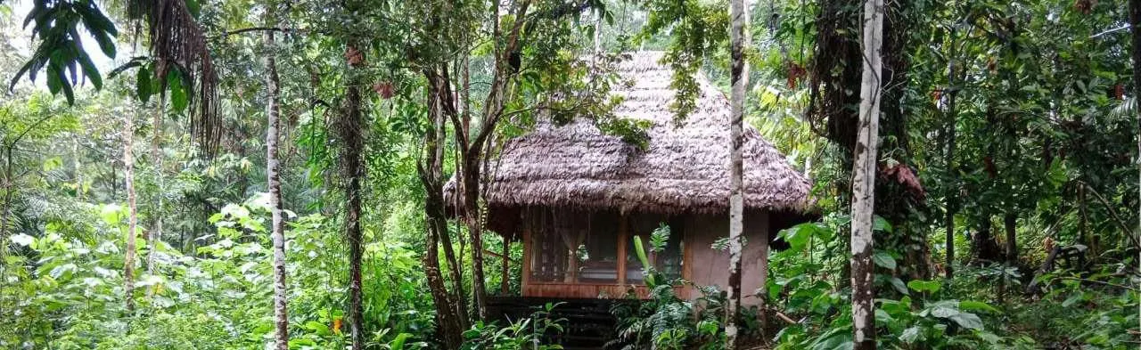 Thatched maloca of Chunaki Ecolodge among Amazon rainforest trees
