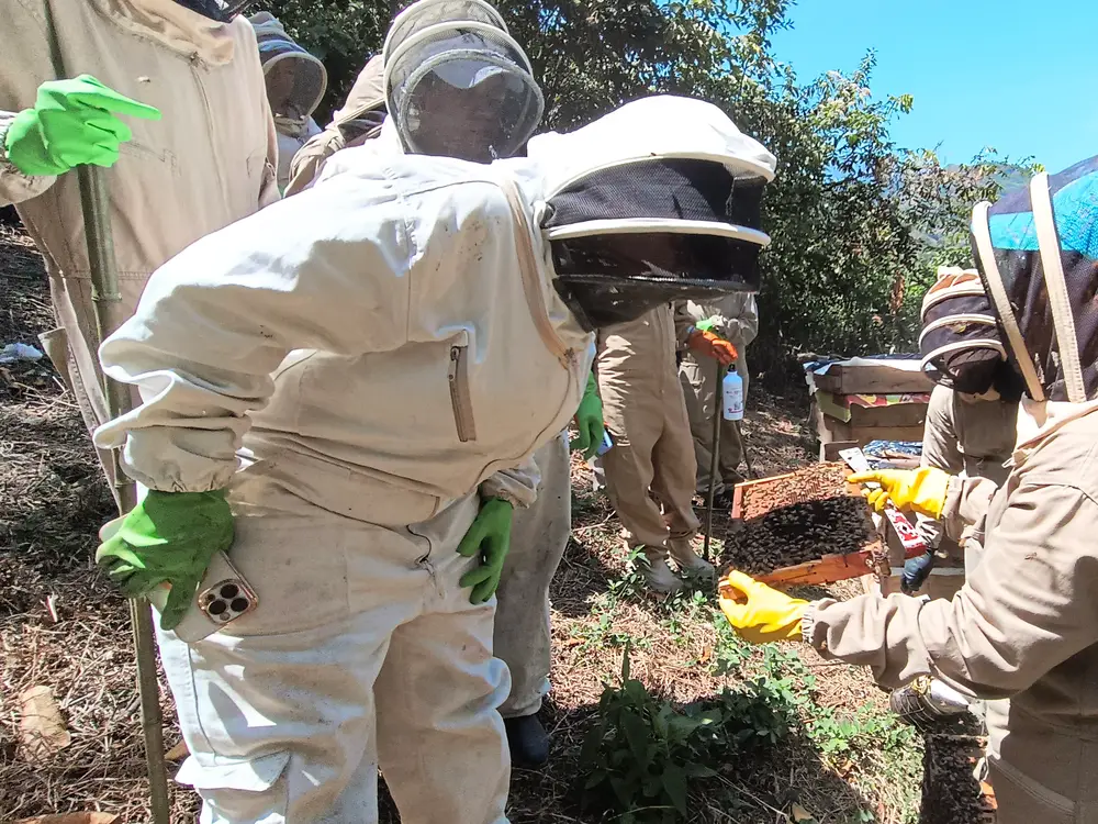 Foto de la experiencia Tour de las Abejas