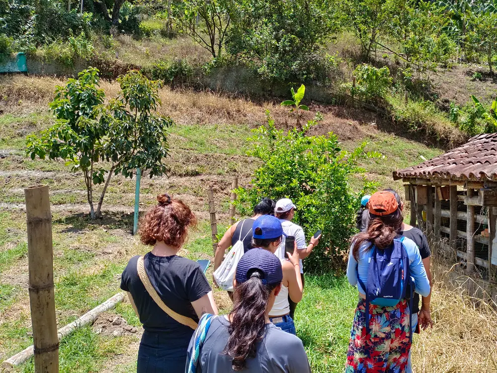Foto de la experiencia Tour de las Abejas