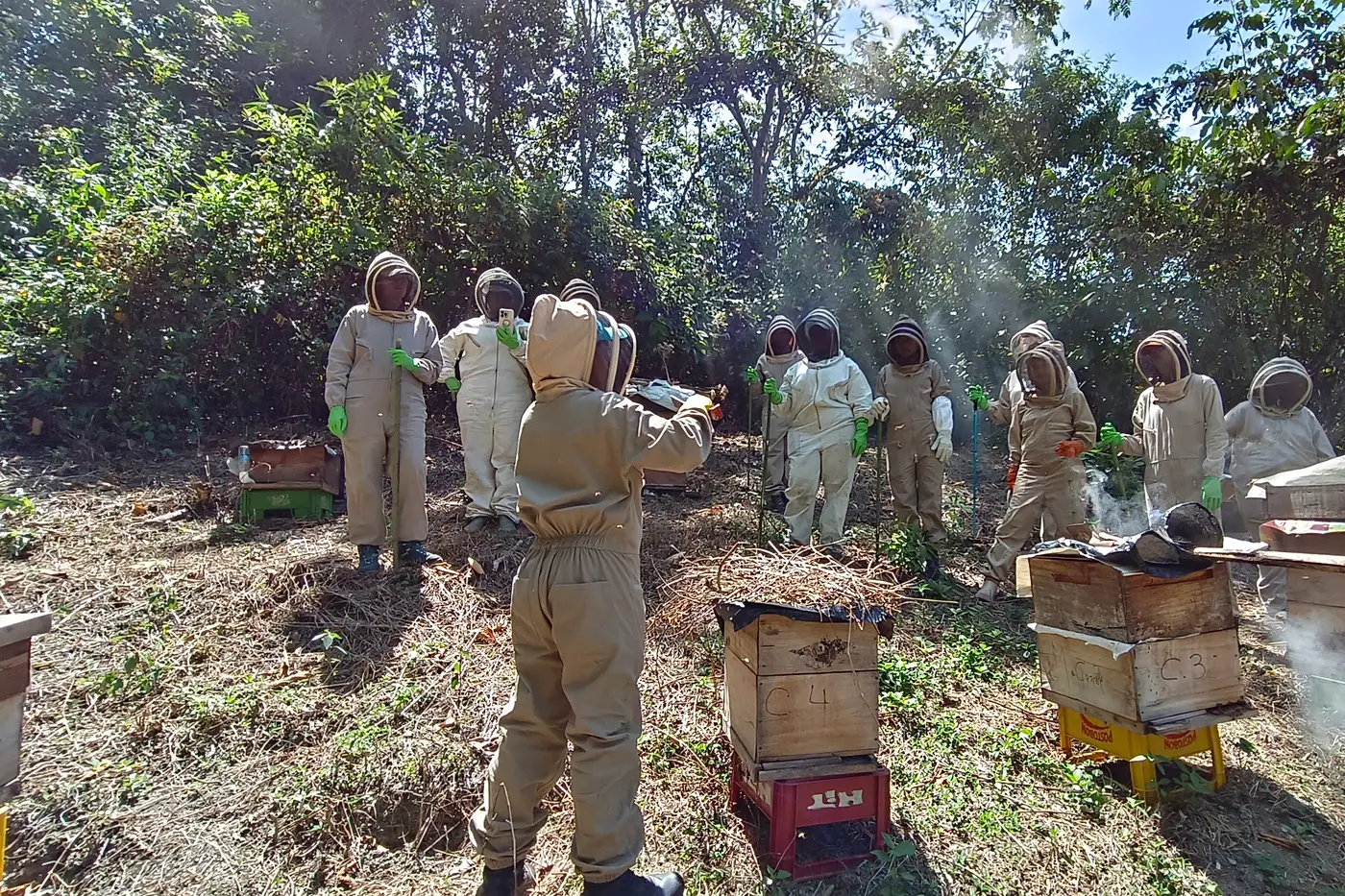 Visitors in beekeeper suits at an apiary in Quindío