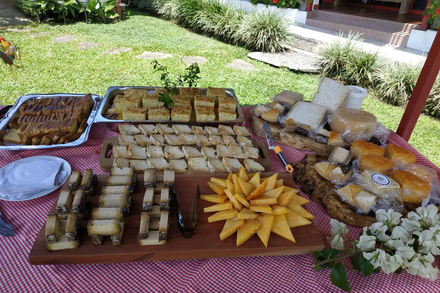 Buffet table with aged cheeses and charcuterie in a garden