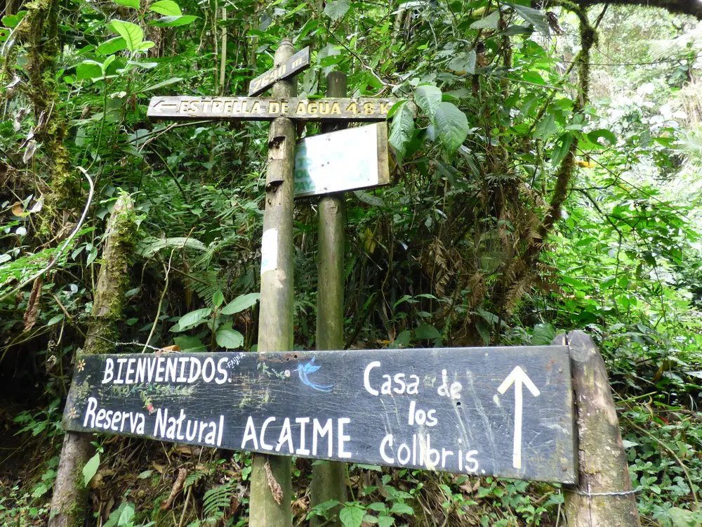 Foto de la experiencia Trek Valle de Cocora – Acaime, Casa de los Colibríes