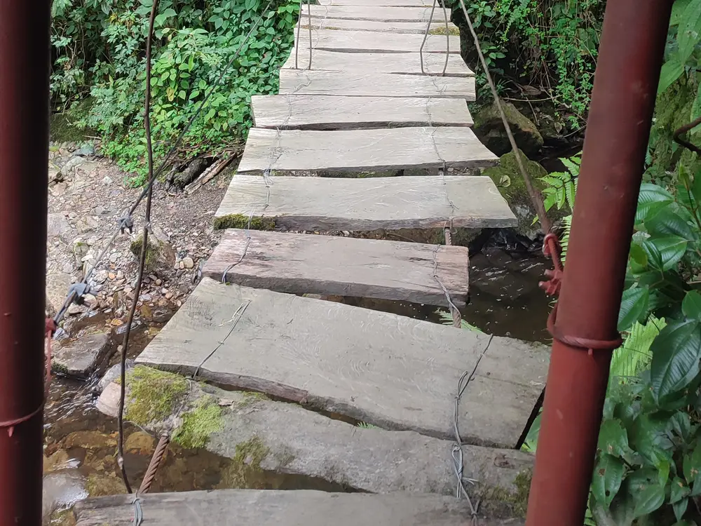 Foto de la experiencia Trek Valle de Cocora – Acaime, Casa de los Colibríes