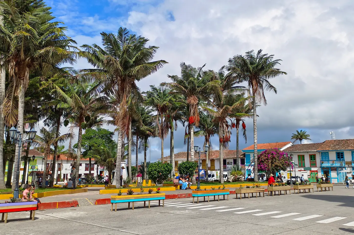 Town square with palm trees and colorful buildings in the Coffee Region