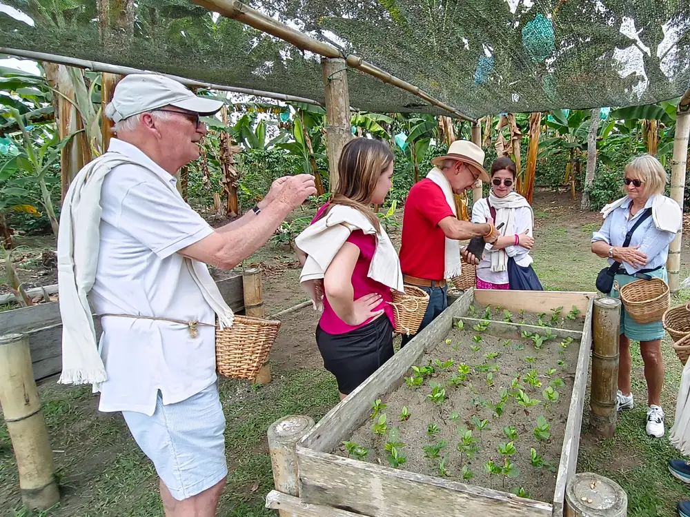Photo from the Coffee Farm Tour experience