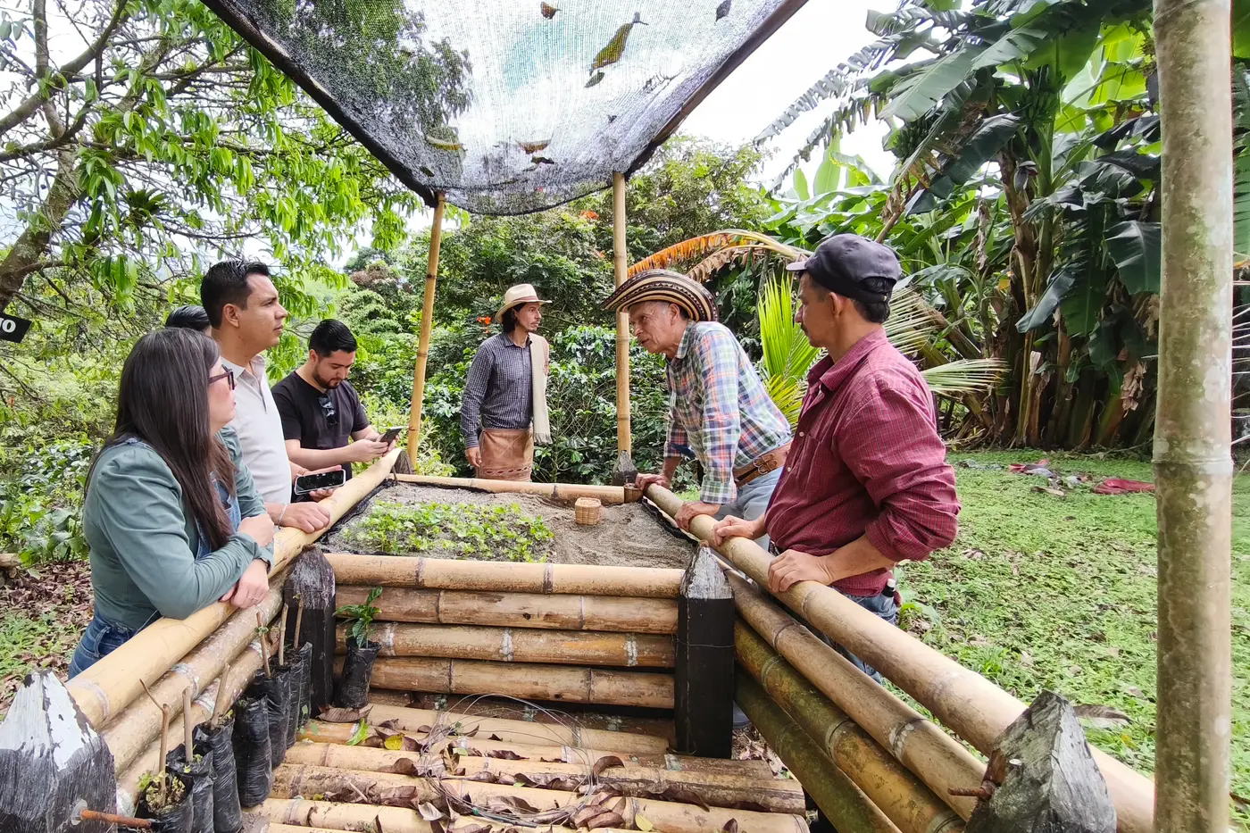 Visitors around a coffee drying bed on a traditional coffee farm