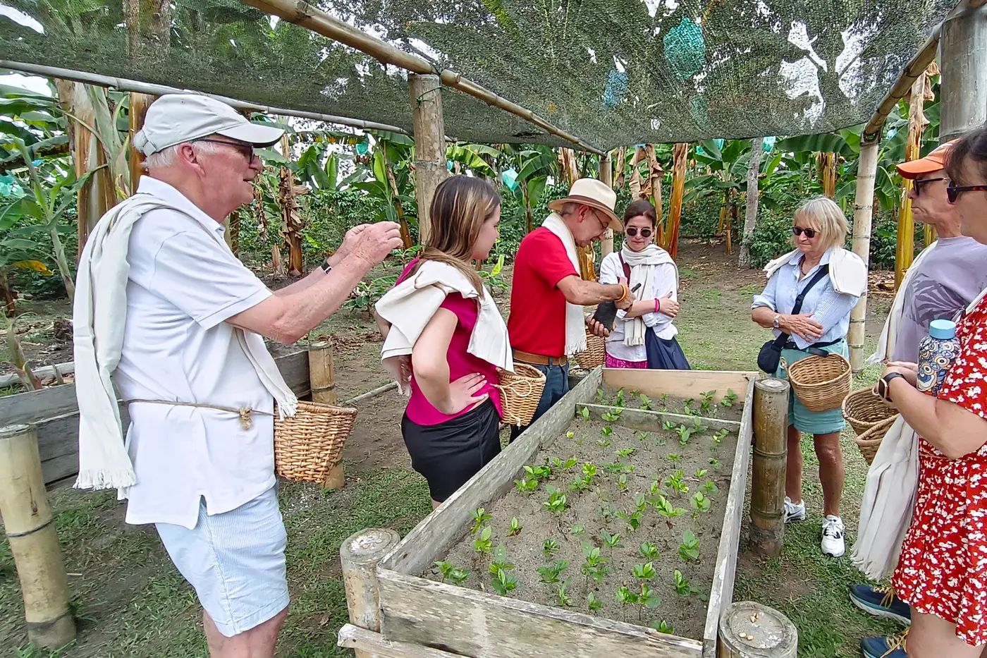 Travelers learning about coffee processing on a traditional coffee farm