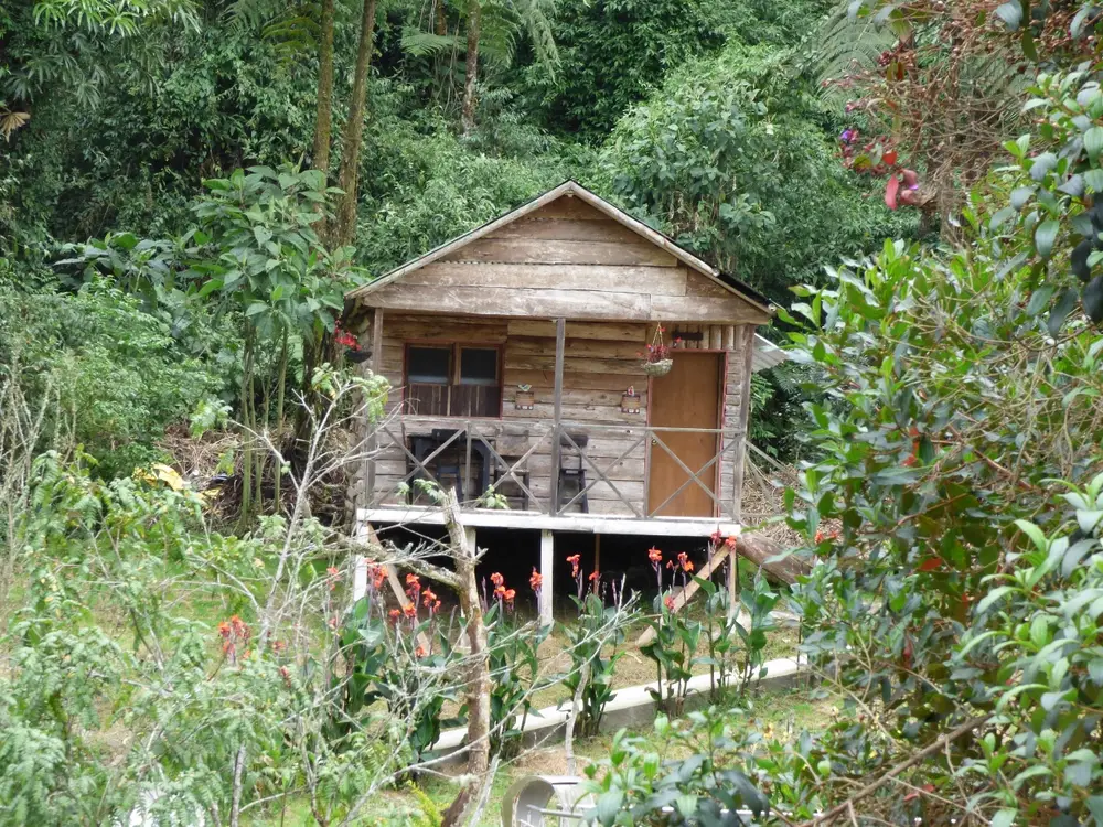 Foto de la experiencia Visita a Aguas Termales