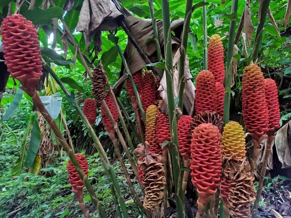 Foto de la experiencia Experiencia en Granja Ecológica