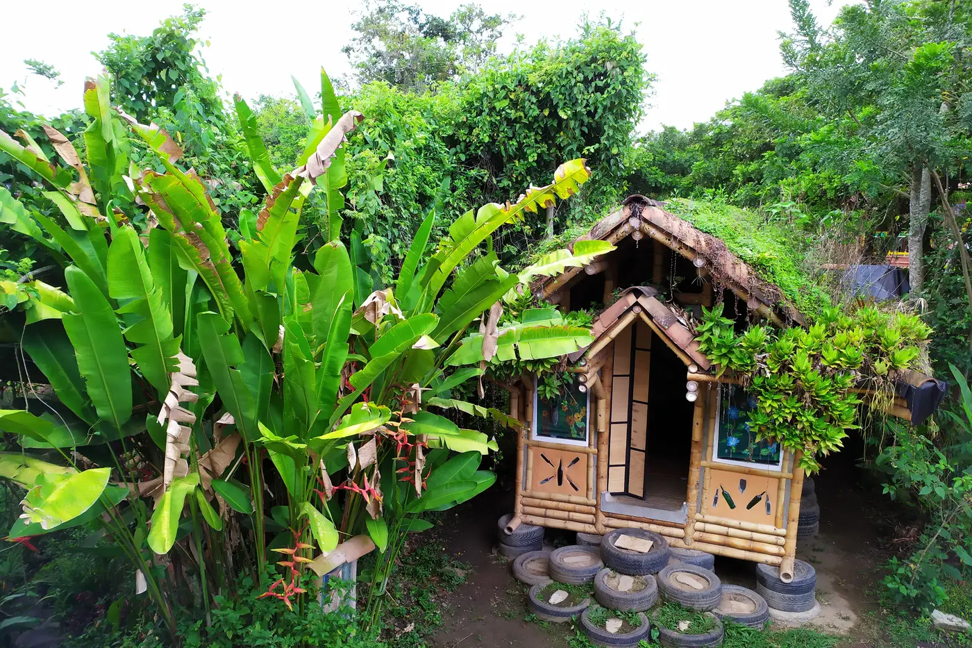 Bamboo cabin among tropical plants on an eco-farm in Quindío