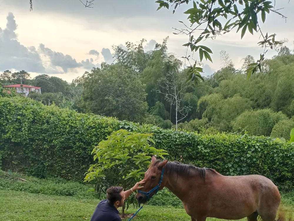 Photo from the Equine Therapy with a Coach experience