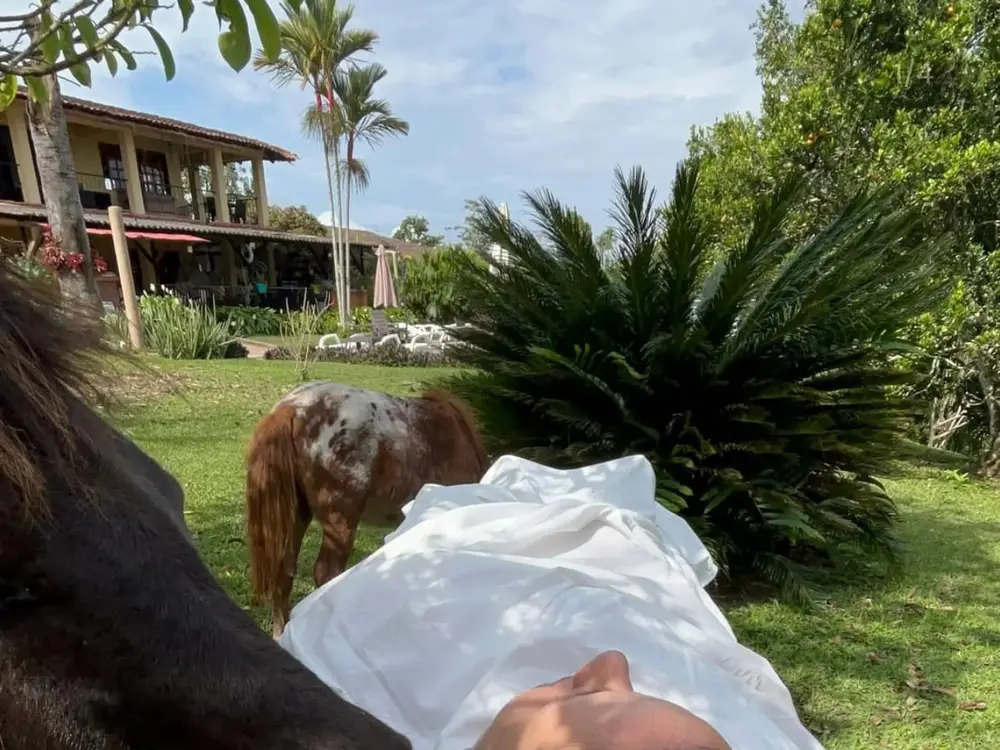 Photo from the Equine Therapy with a Coach experience