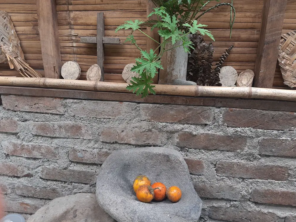 Foto de la experiencia Campesino por un Día