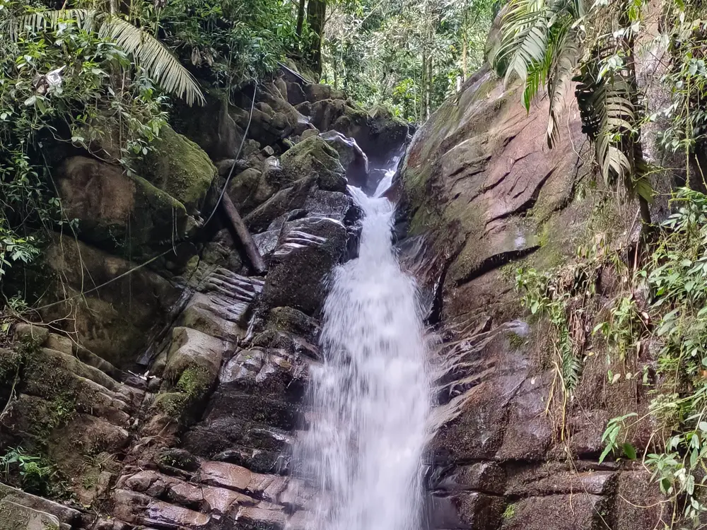 Photo from the Filandia, Cocora Valley & Salento Full-Day Tour experience