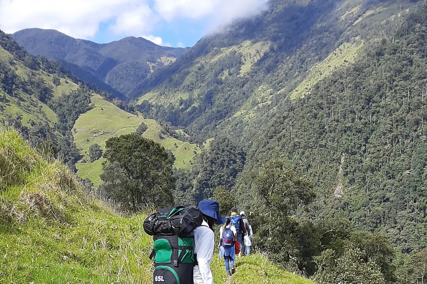 Hiker on a green mountain slope in a Coffee Region nature reserve