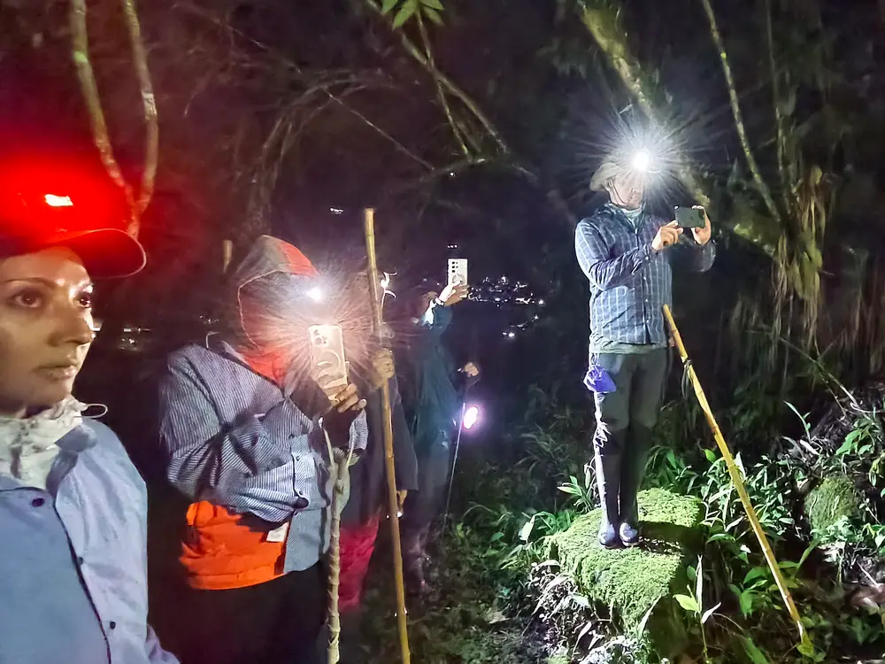 Foto de la experiencia Experiencia Nocturna de Ranas y Anfibios