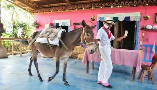 Costumed muleteer leading a mule in front of a colorful building