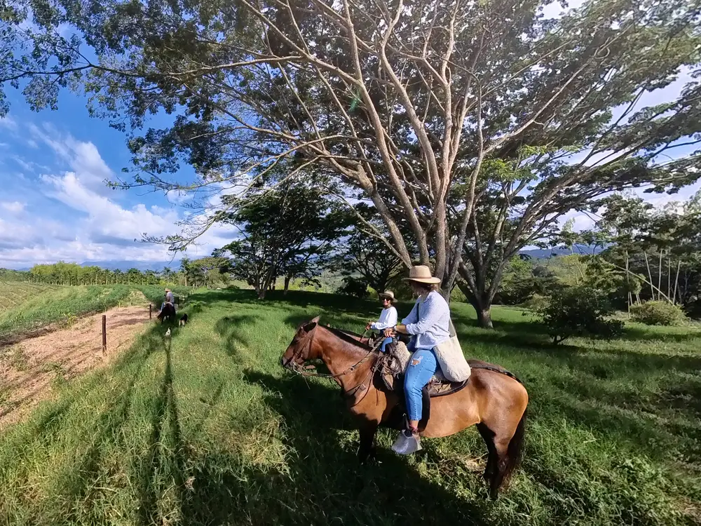 Foto de la experiencia Cabalgata Río y Montaña