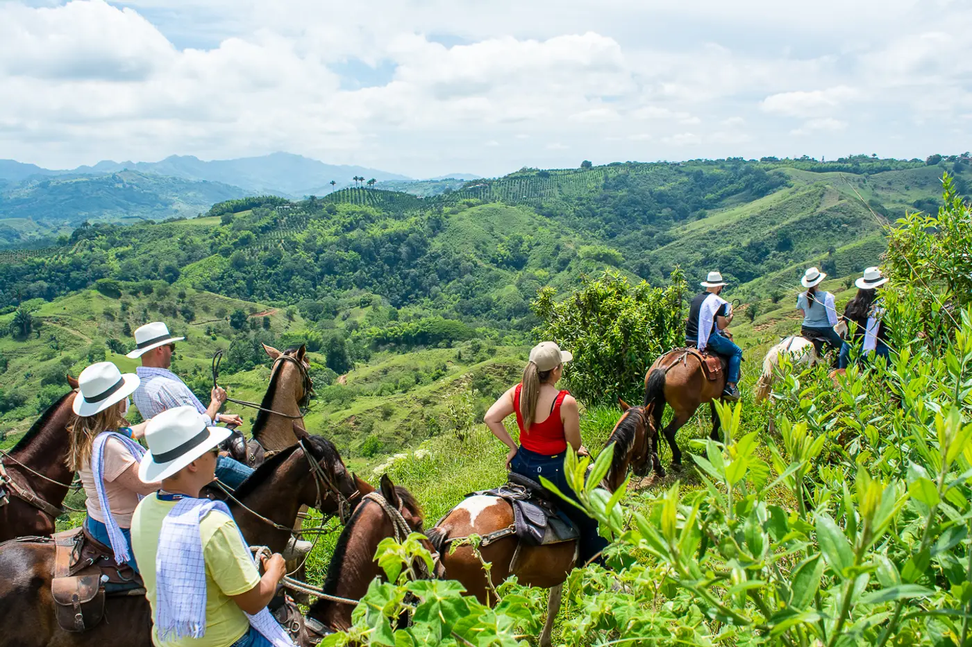 Riders on horseback over green hills in the Coffee Region