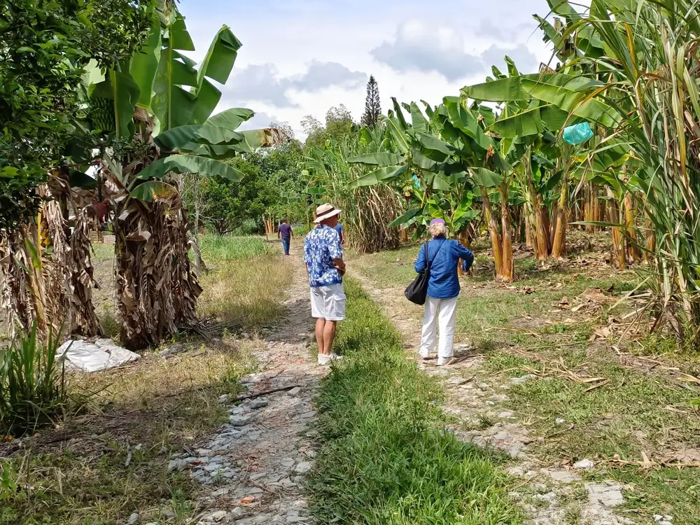 Foto de la experiencia Tour de Caña y Trapiche