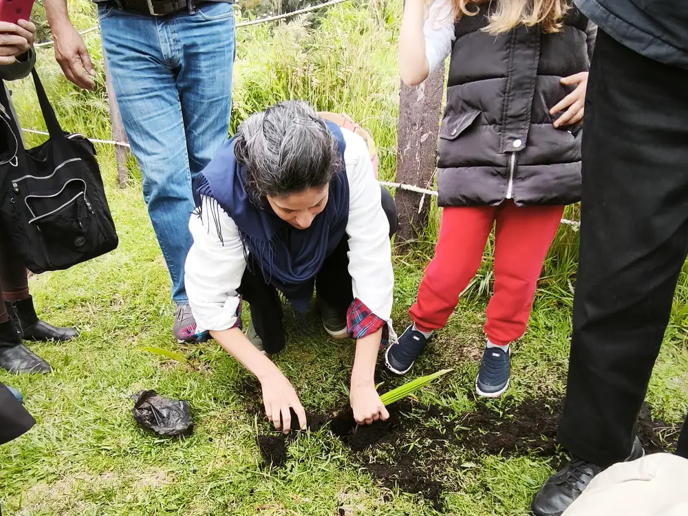 Photo from the Leave Your Mark: Tree Planting in a Nature Reserve experience