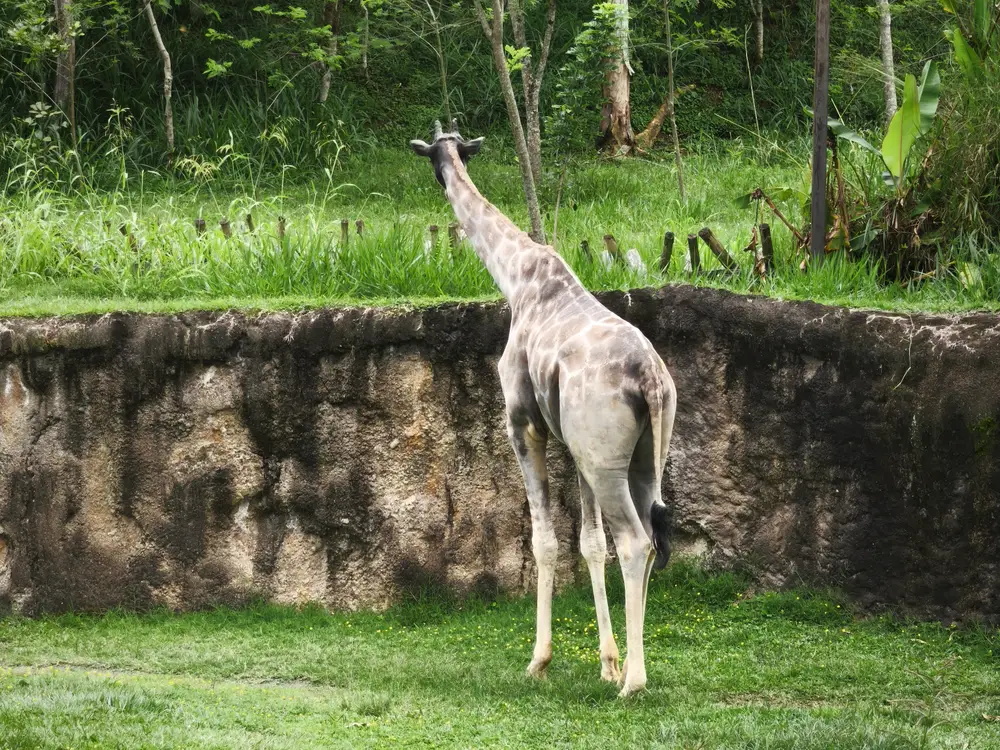 Photo from the Ukumarí Biopark experience