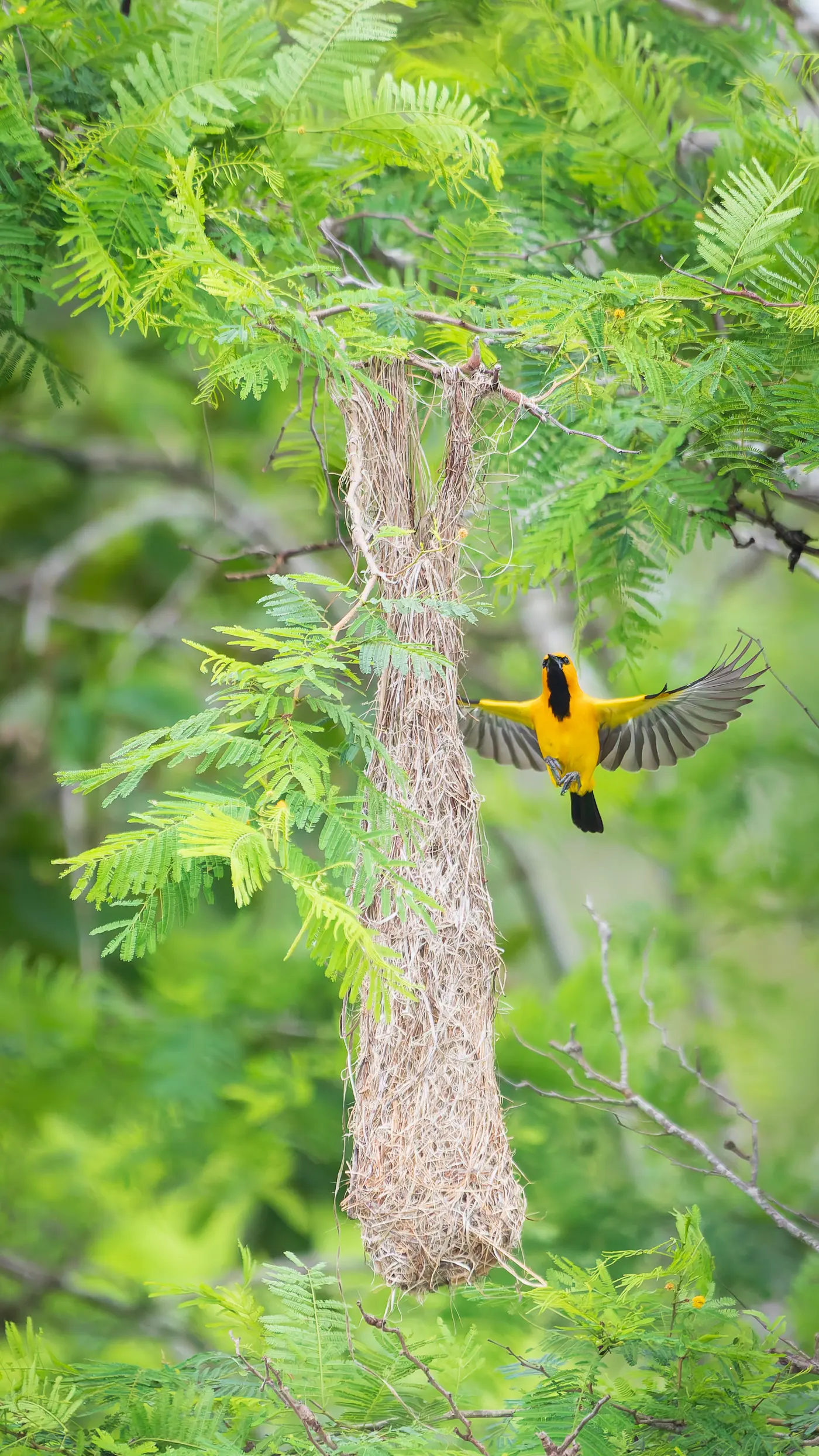 Join us on a journey of culture and nature (6/7)