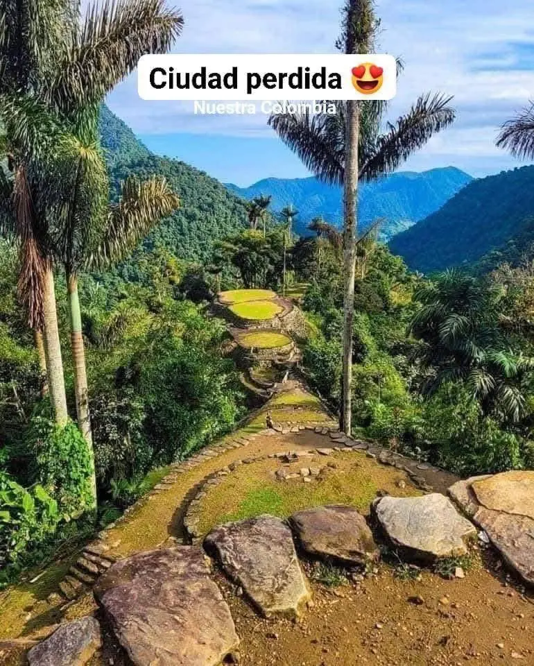 Colombia in 15 Days: Your Best Trip Starts Here (1/2)