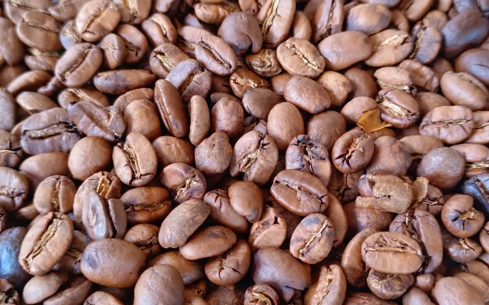 Roasted coffee beans