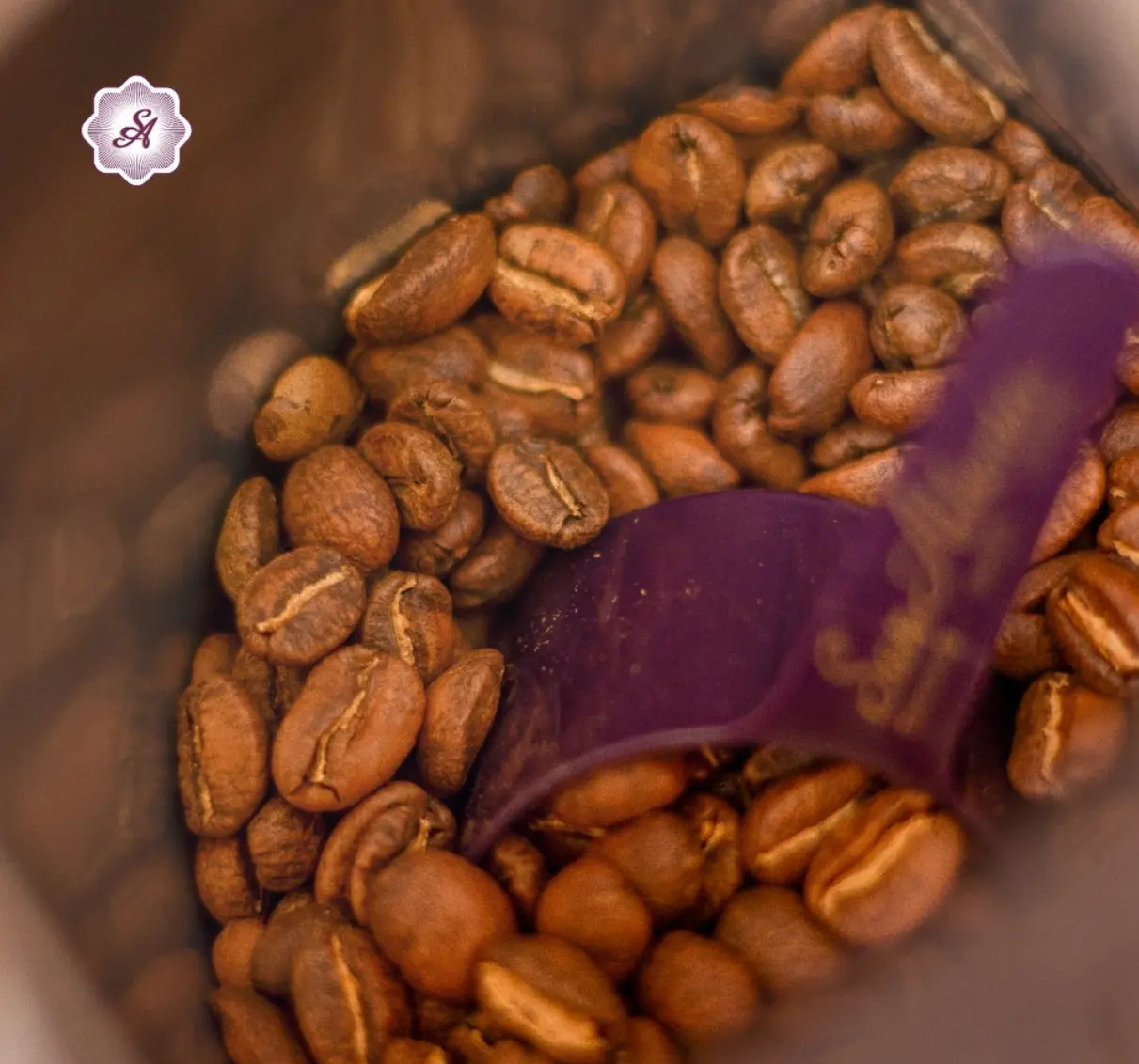 Best Coffee Shops in Cartagena: 10 Places to Try
