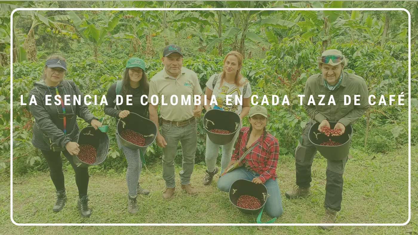 Things to Do in Colombia's Coffee Region