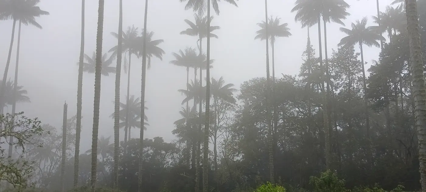 Things to Do in Colombia's Coffee Region (6/8)