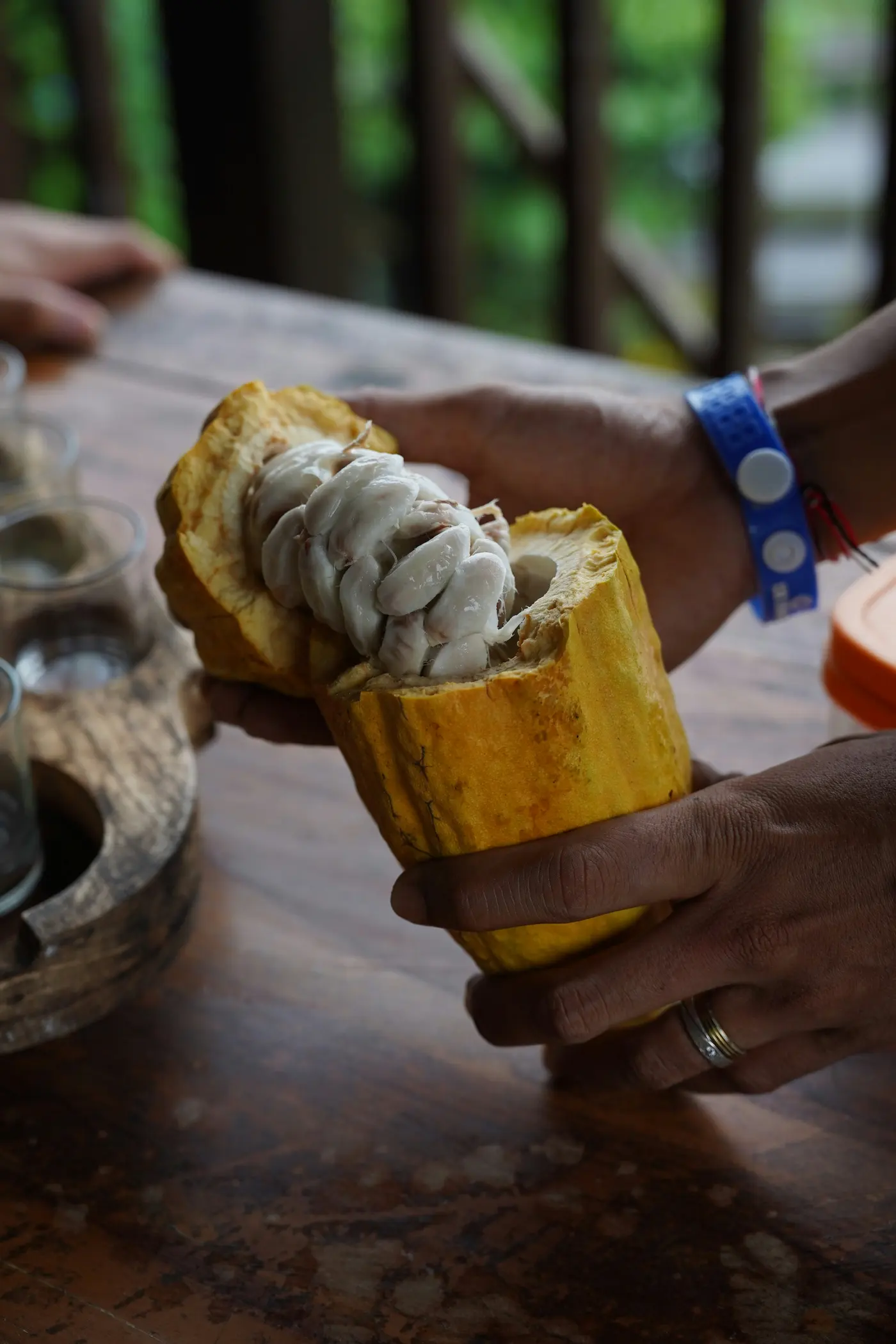 Things to Do in Caicedonia: A Complete Guide to Valle del Cauca's Sentinel (12/15)