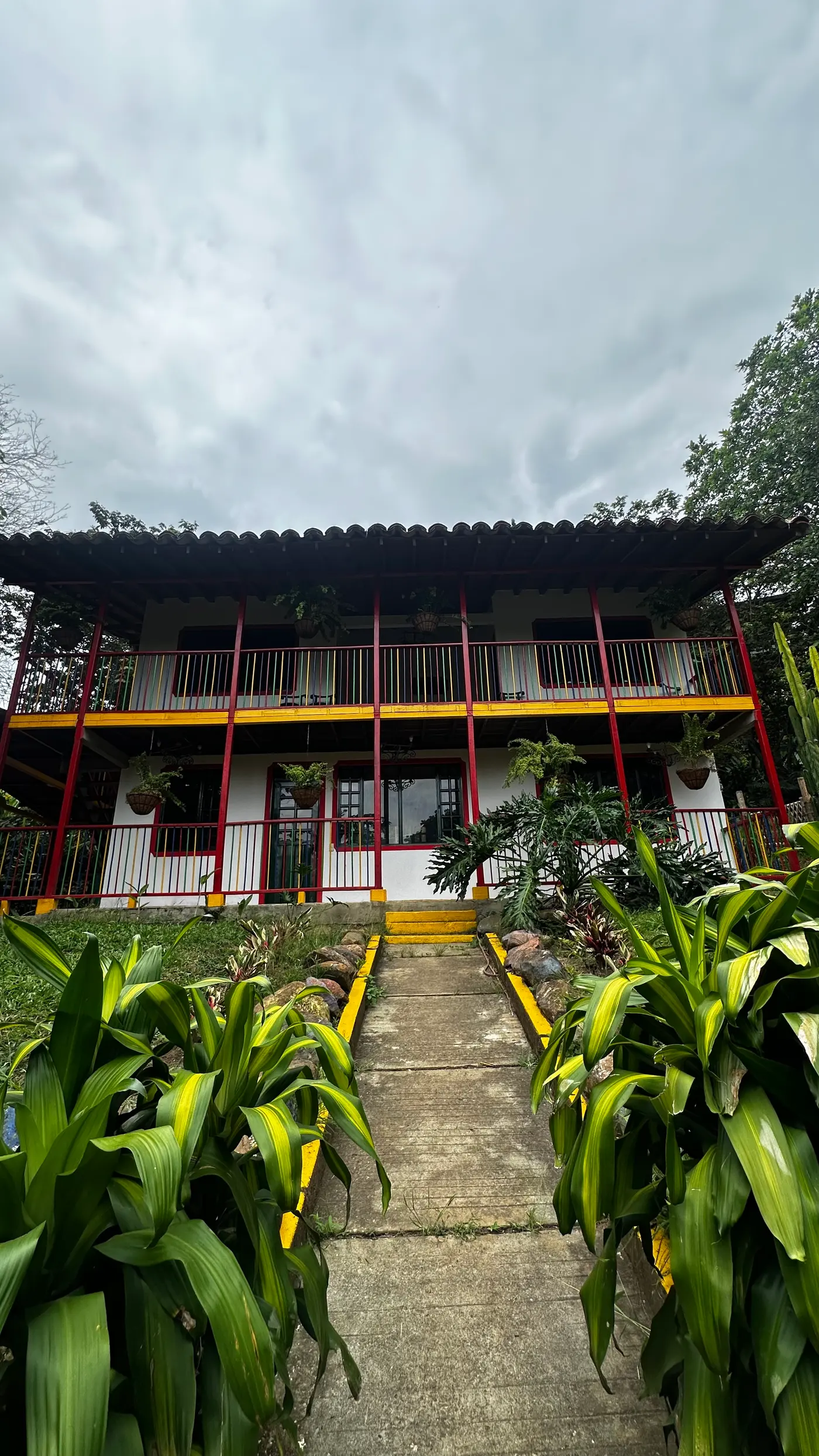 Heliconia Park: learning to look (3/15)