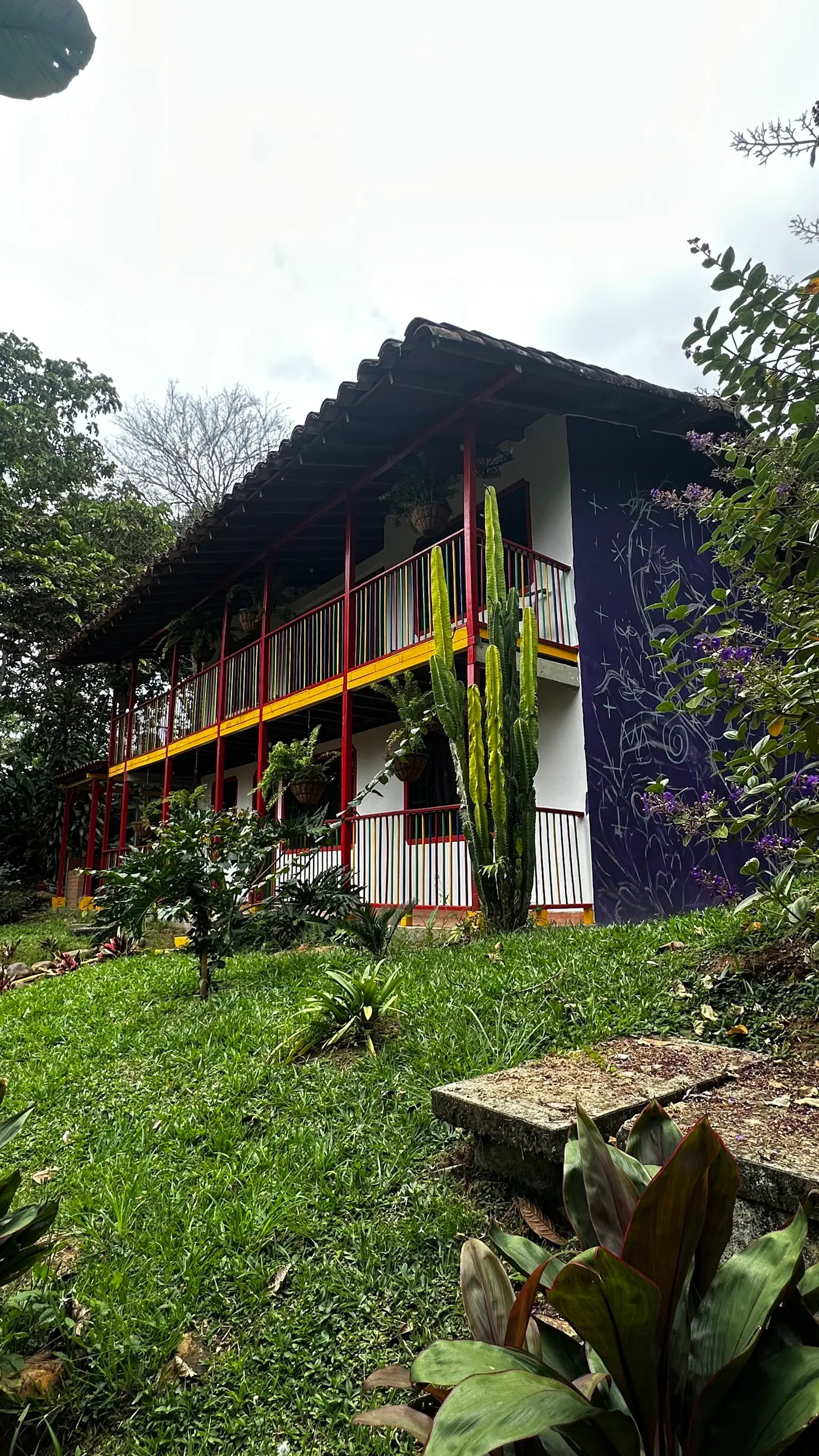 Heliconia Park: learning to look (5/15)