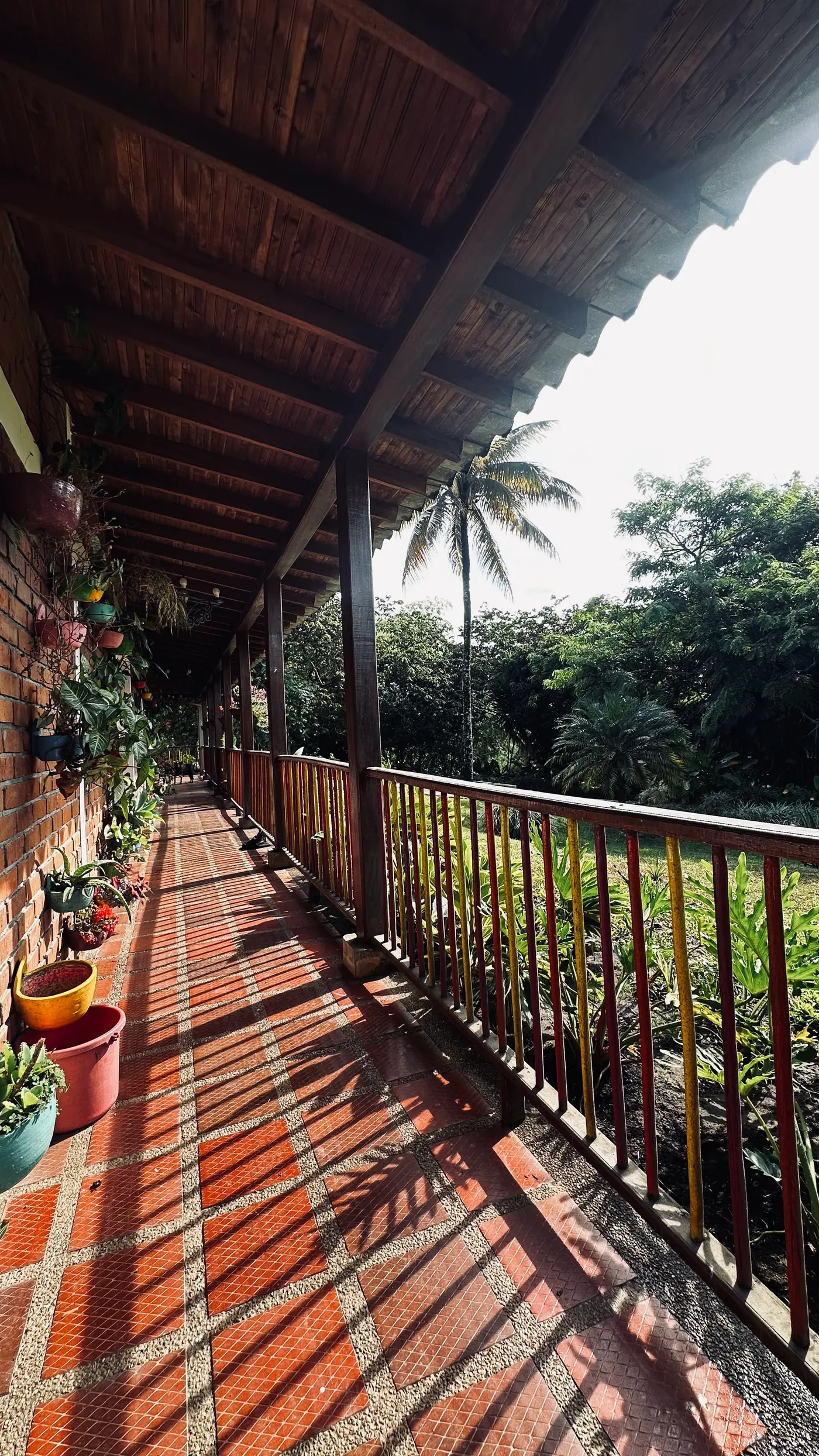 Heliconia Park: learning to look (7/15)