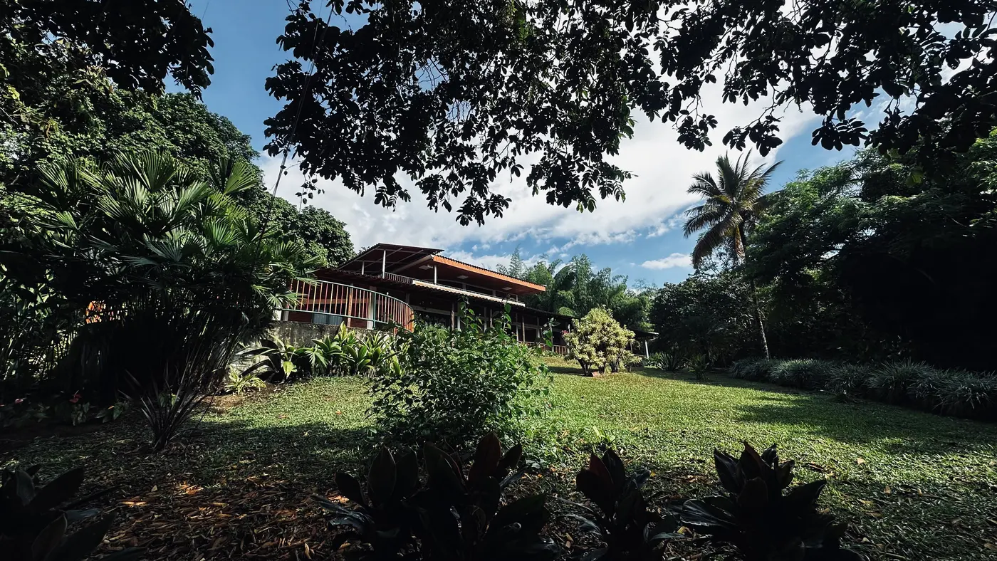 Heliconia Park: learning to look (13/15)