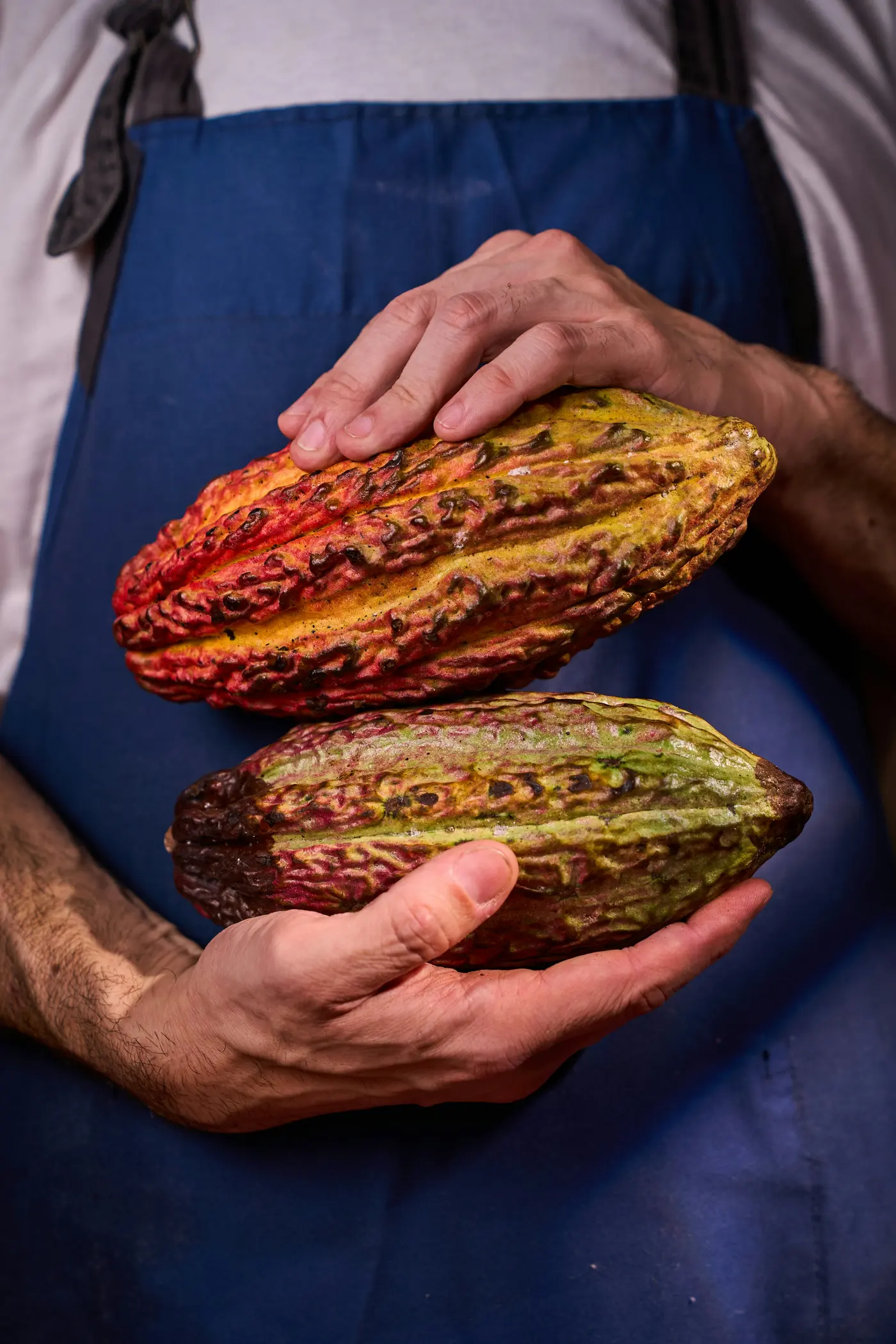 Cacao Route: from seed to chocolate (3/3)