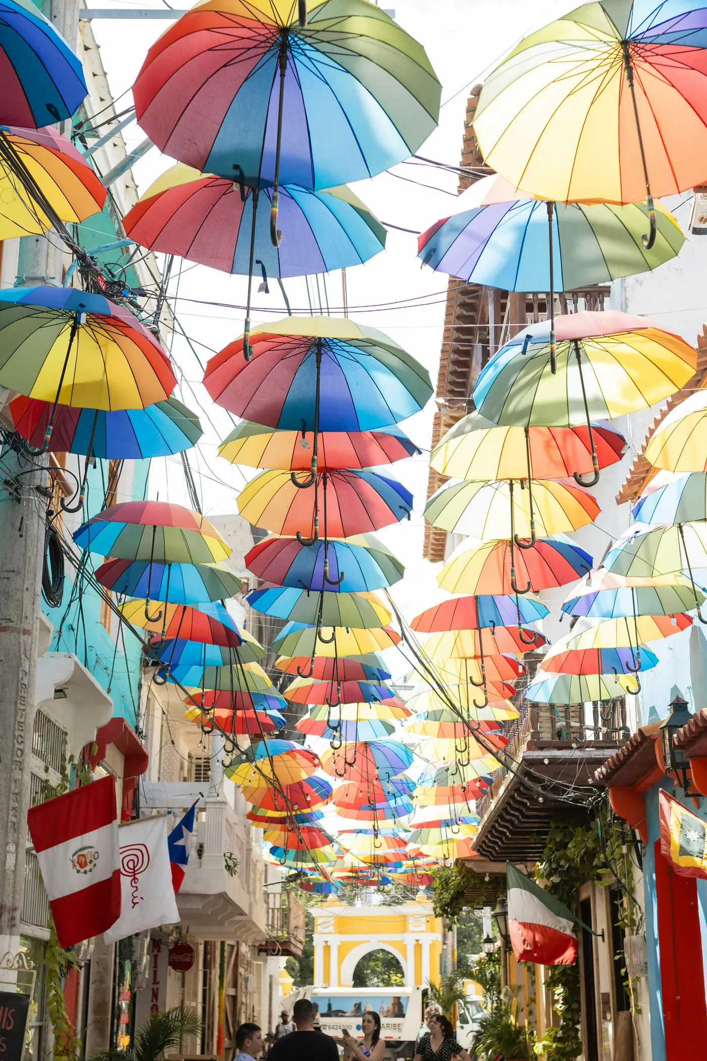 Getsemaní (8/8)
