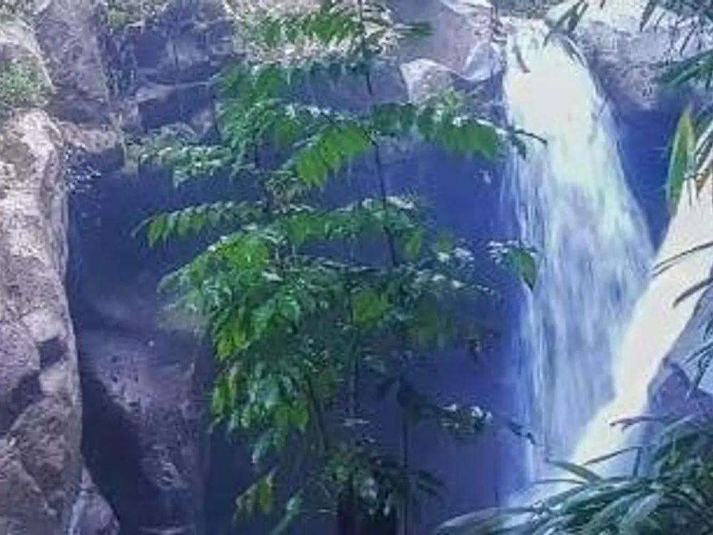 Cascada entre rocas y vegetación en la Sierra Nevada