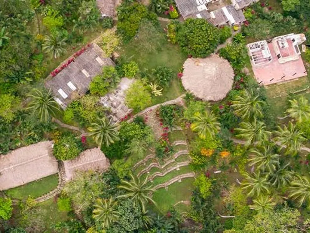 Vista aérea de una finca con cabañas entre la selva