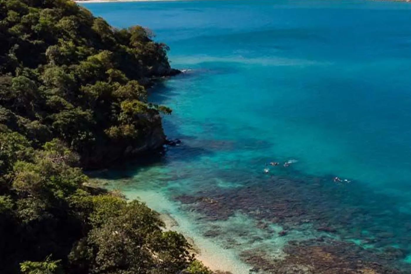 Turquoise bay surrounded by jungle in Tayrona National Park