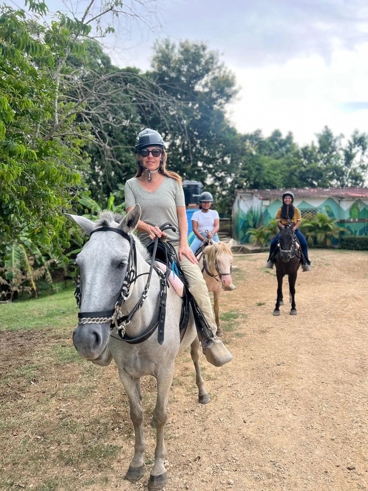 A visitor on horseback at the park