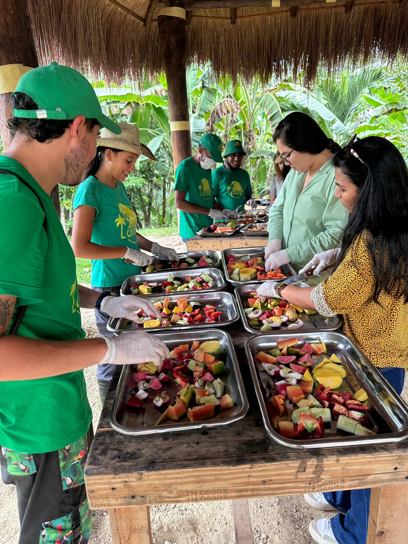 Trays of fresh fruit served to the group