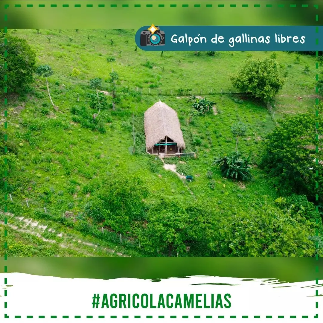 Aerial view of a small hut surrounded by green hills