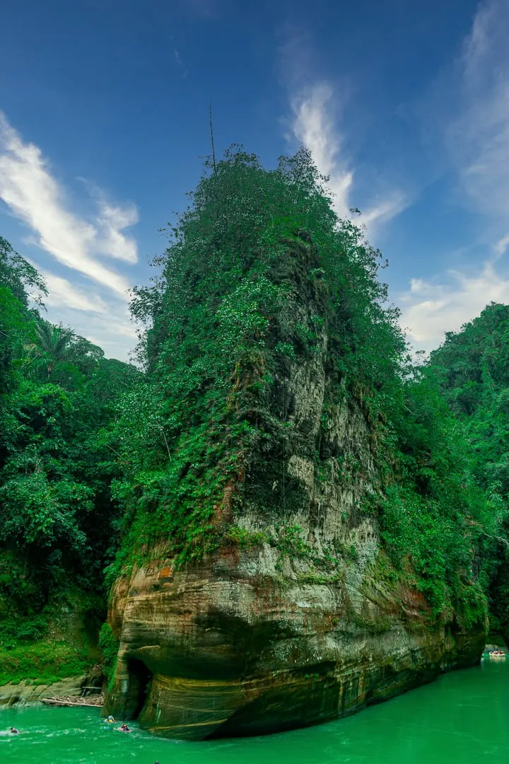 A tall rock formation covered in green forest