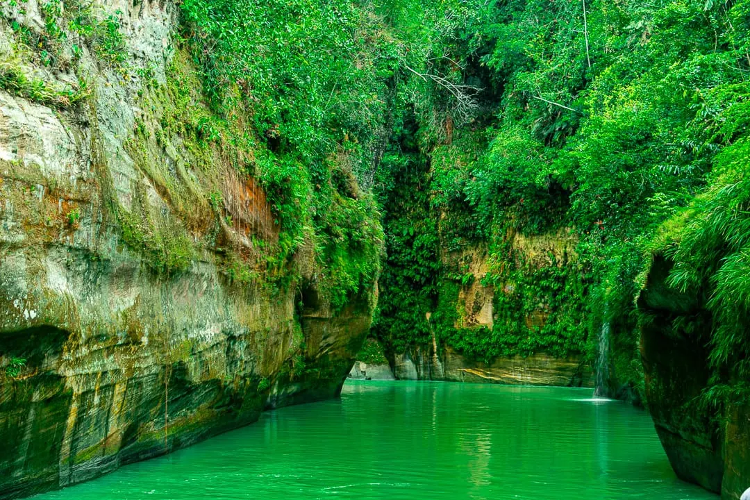 Emerald-green river between mossy canyon walls