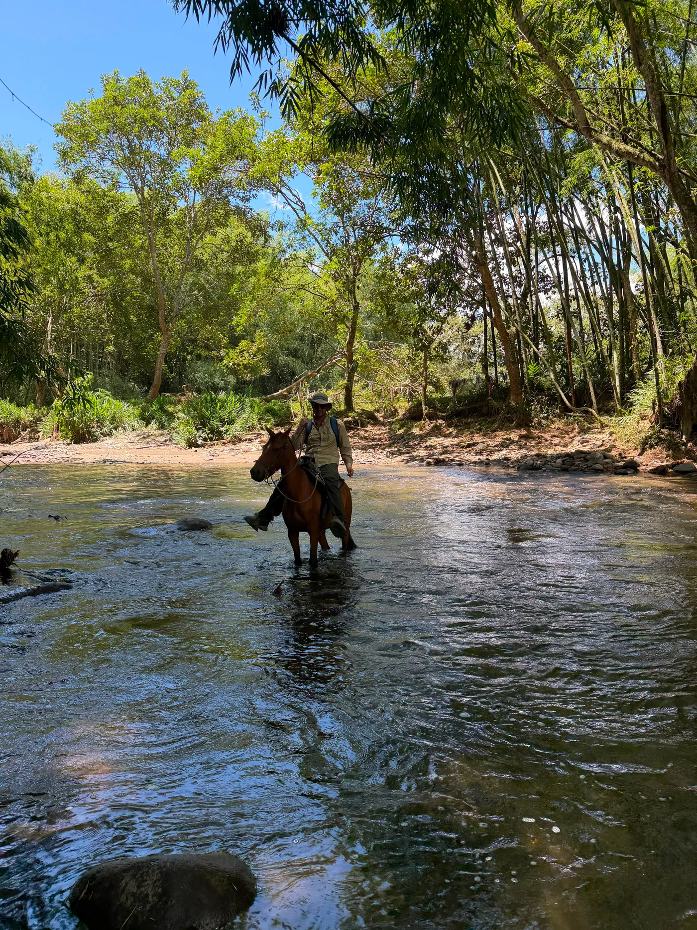 A rider crossing a shallow river on horseback
