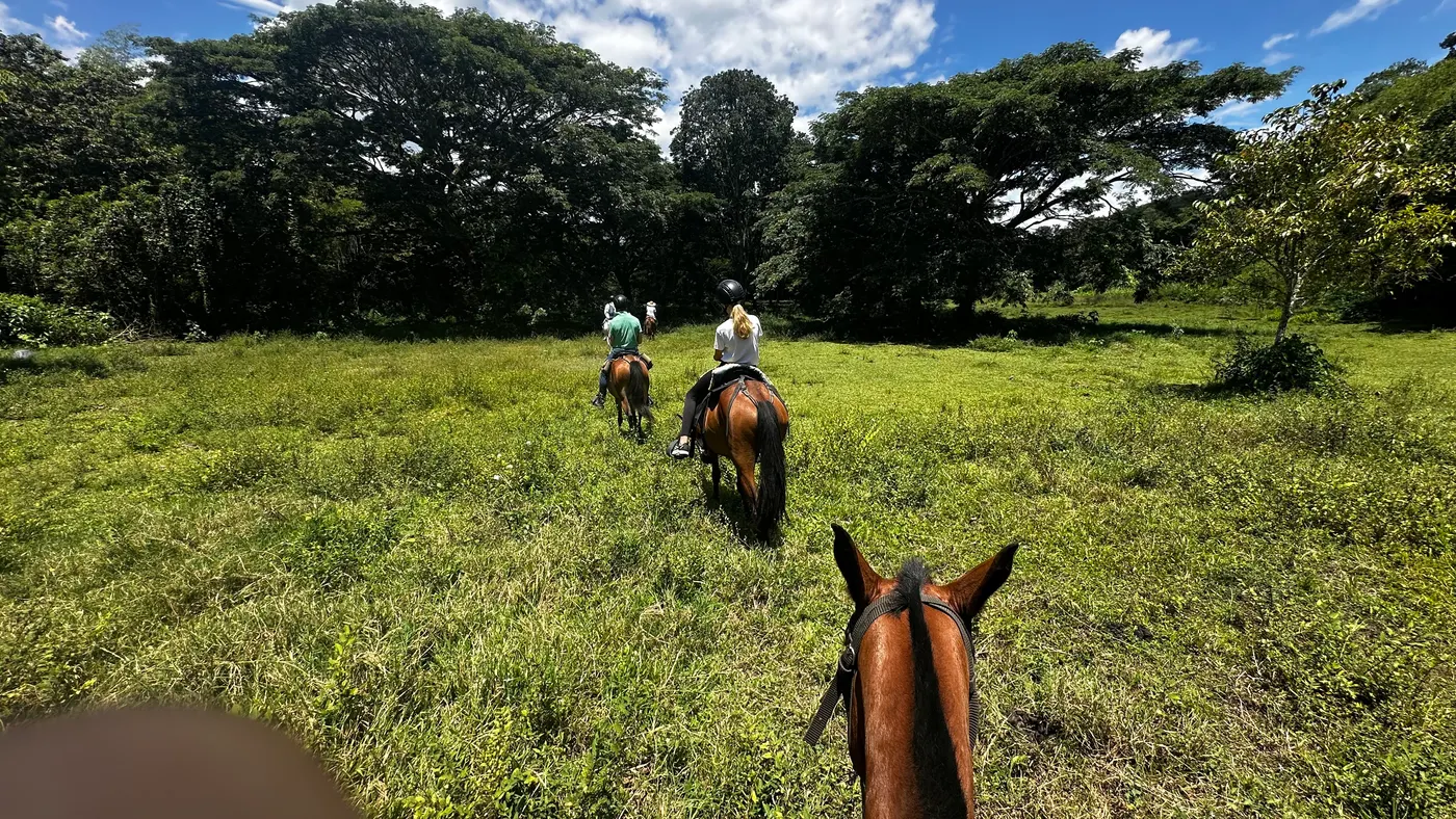 Riders on horseback crossing a green meadow in the Colombian Coffee Region